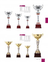 /album/fotogalerie-pohary/katalog2012-059-jpg1/